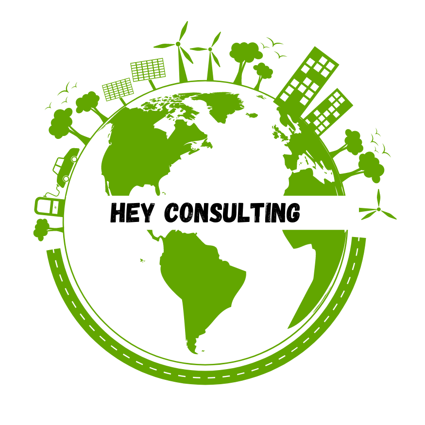 HEY CONSULTING - MARION DESORMEAUX PROJECT MANAGEMENT SERVICES