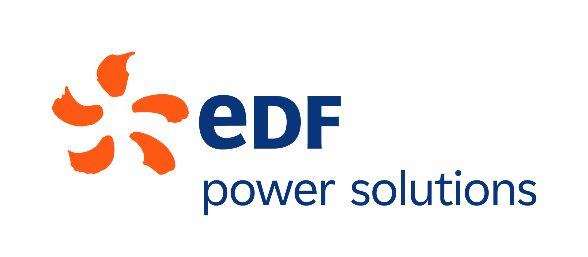 ELECTRICITE DE FRANCE (EDF)