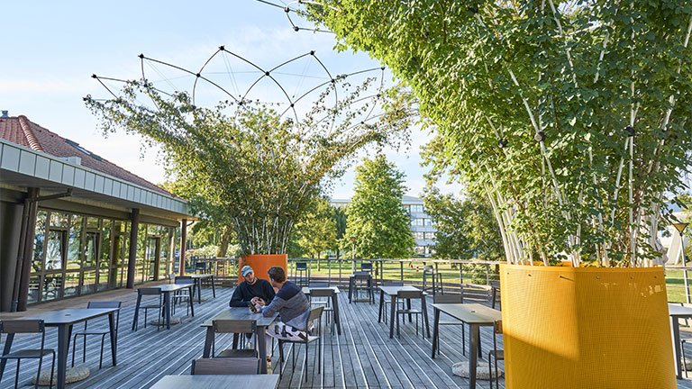 urban canopee promotional image