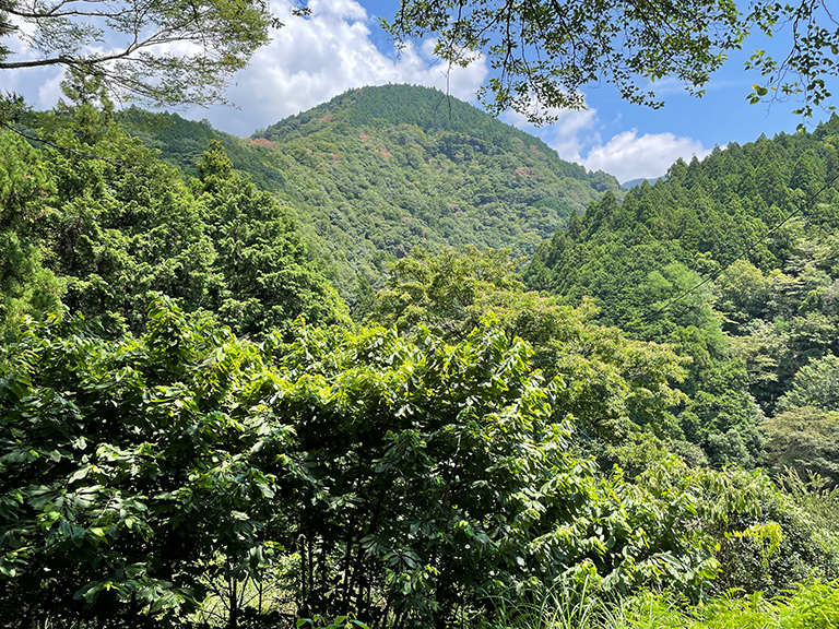 株式会社日仏経済戦略研究所：新オフィス 山北サステイナビリティーセンターを設立
