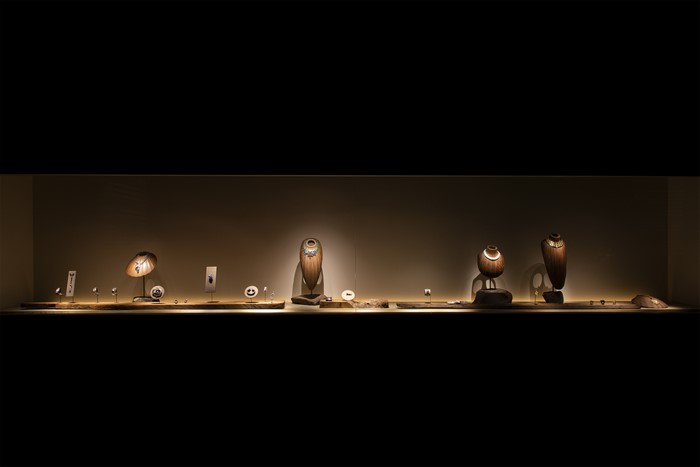 Panthère: A Timeless Symbol New Material Research Laboratory (NMRL)