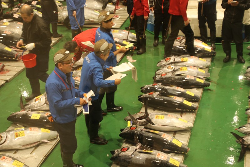 バスク、ランド地方の漁業関連団体が日本に視察旅行