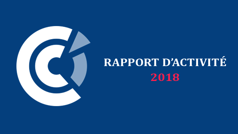 La CCI France Japon publie son rapport d’activité 2018