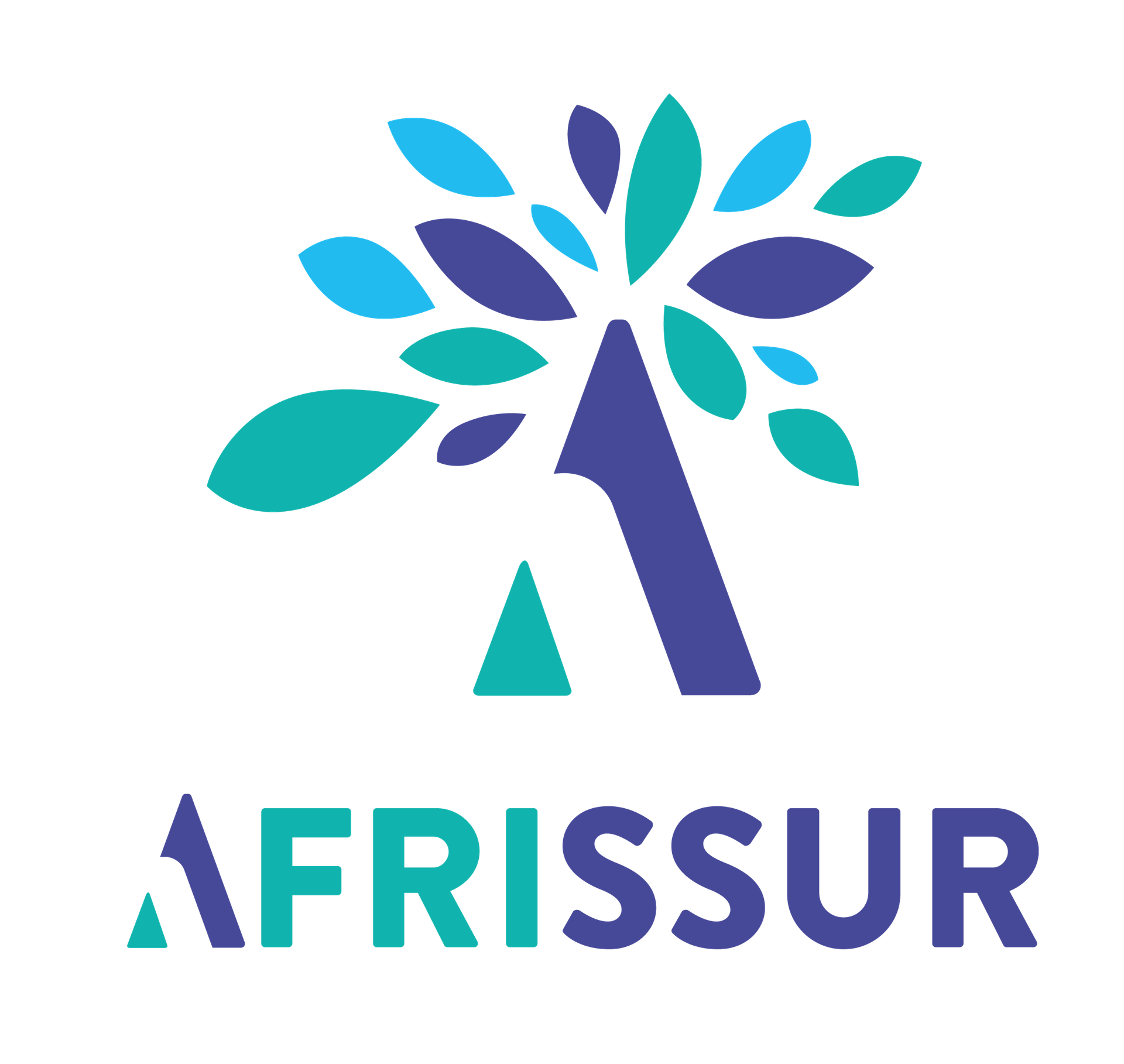 AFRISSUR