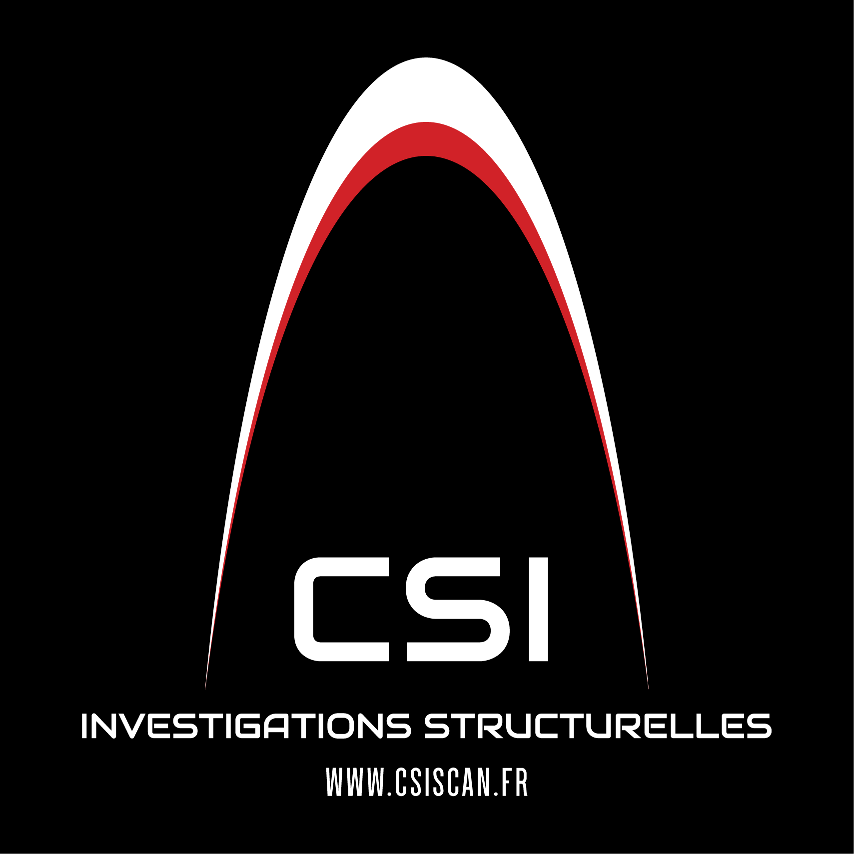 CONCRETE STRUCTURE INVESTIGATIONS LTD