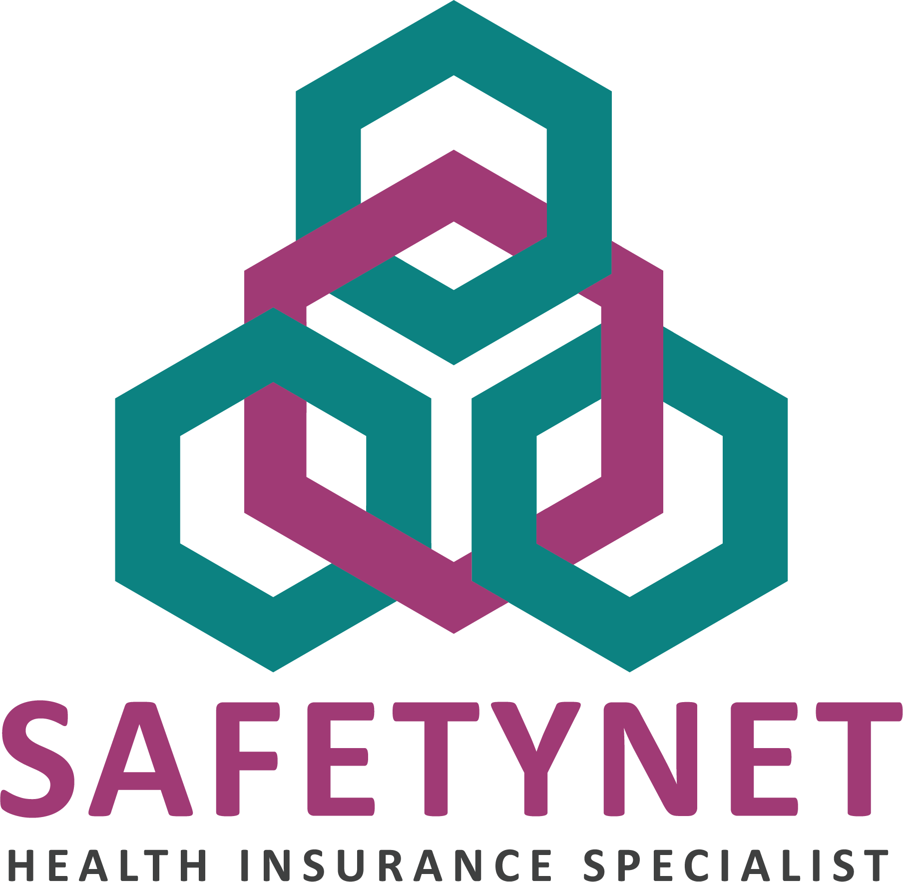SAFETYNET INSURANCE SERVICES (VIETNAM) COMPANY LIMITED