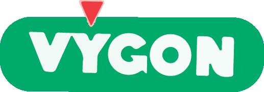VYGON COLOMBIA SA