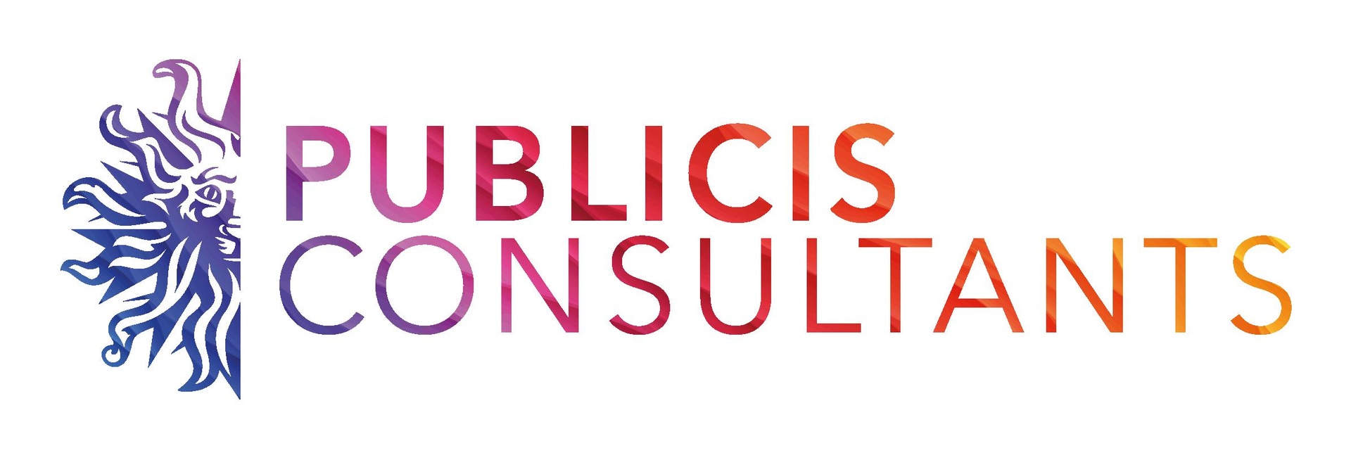 PUBLICIS CONSULTANTS