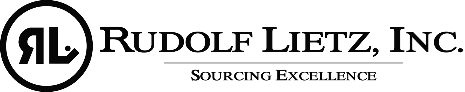 THE REPRESENTATIVE OFFICE OF RUDOLF LIETZ, INC. IN HO CHI MINH CITY