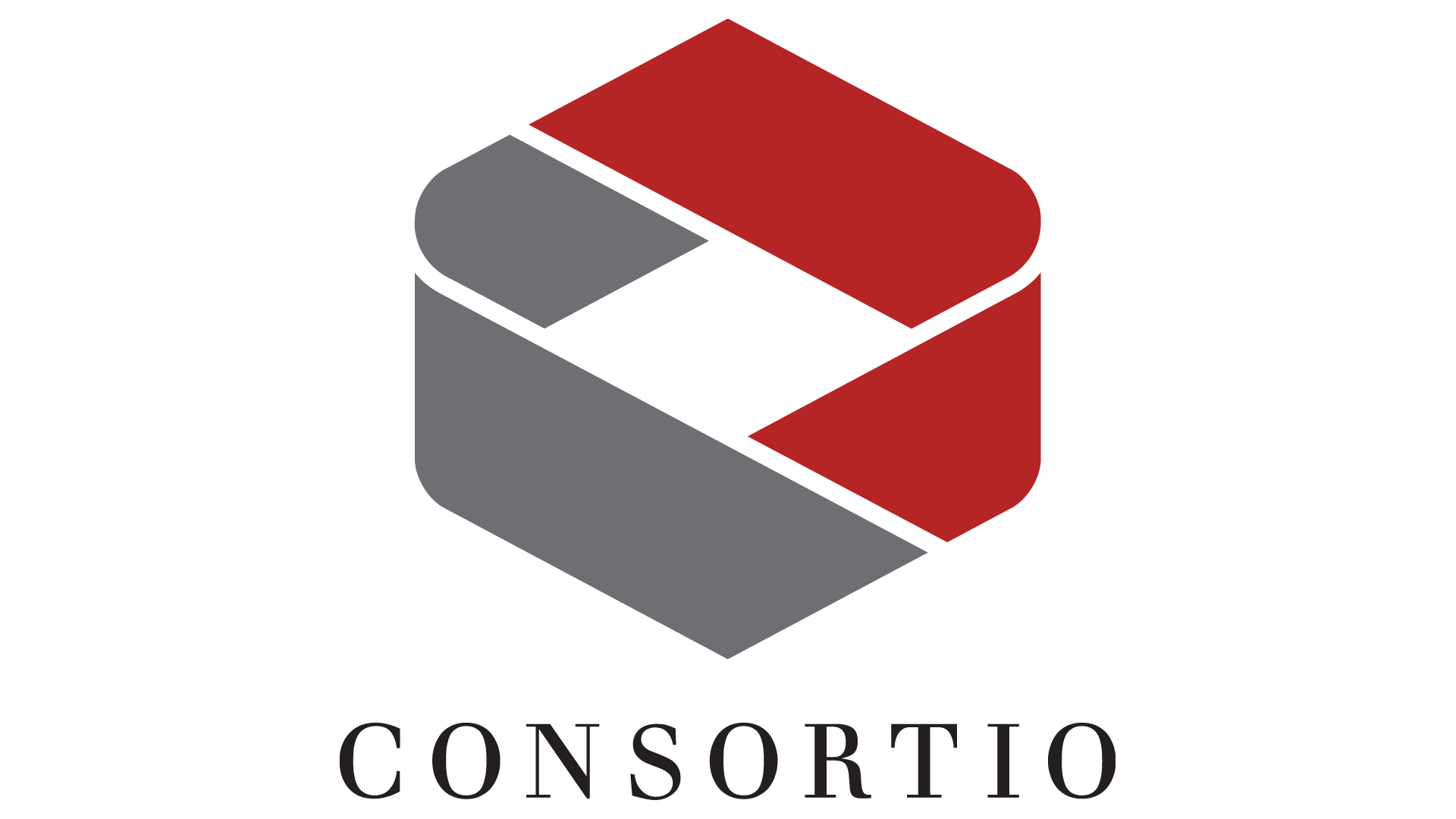 CONSORTIO VIETNAM JOINT STOCK COMPANY