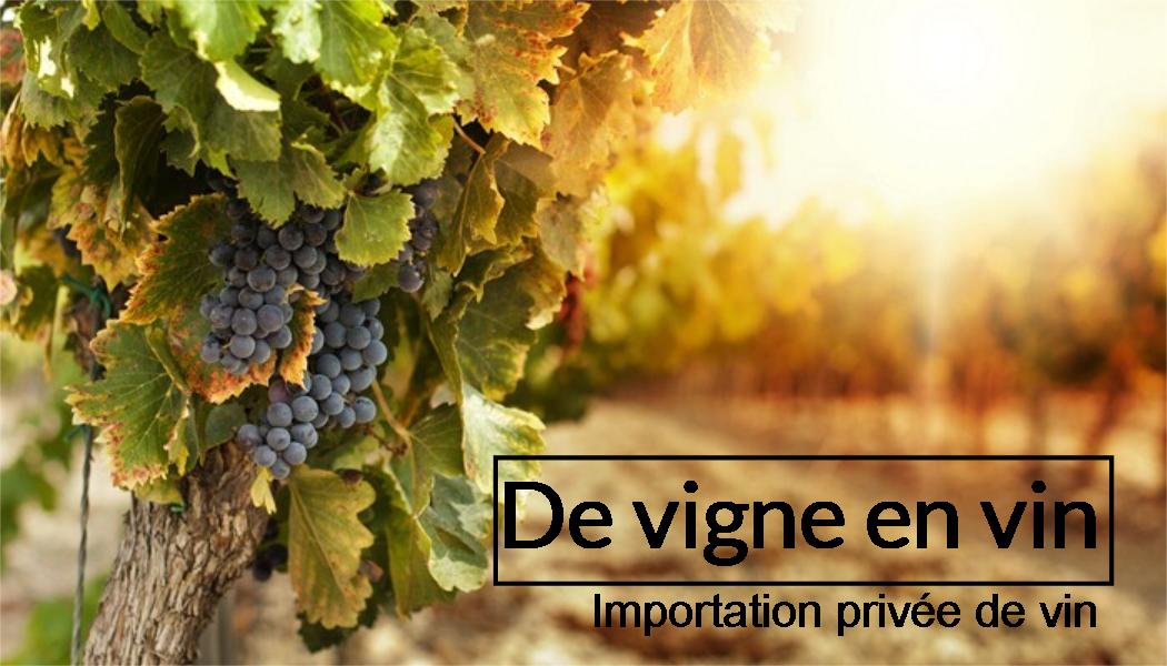 DE VIGNE EN VIN