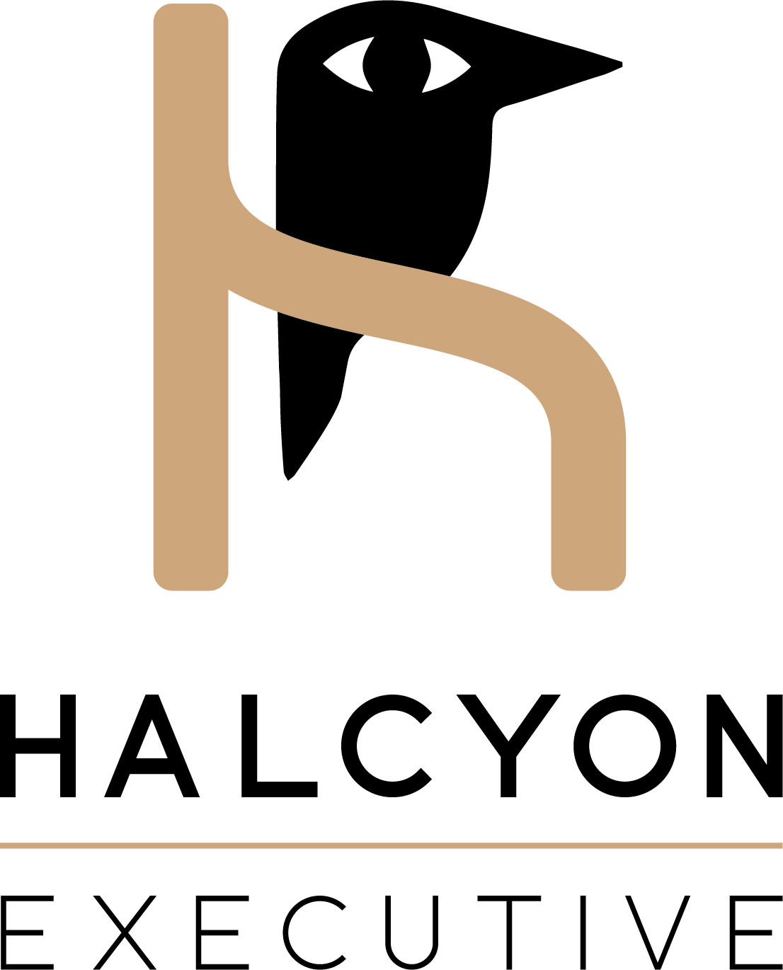 HALCYON NASSAU EXECUTIVE PARTNER SRL