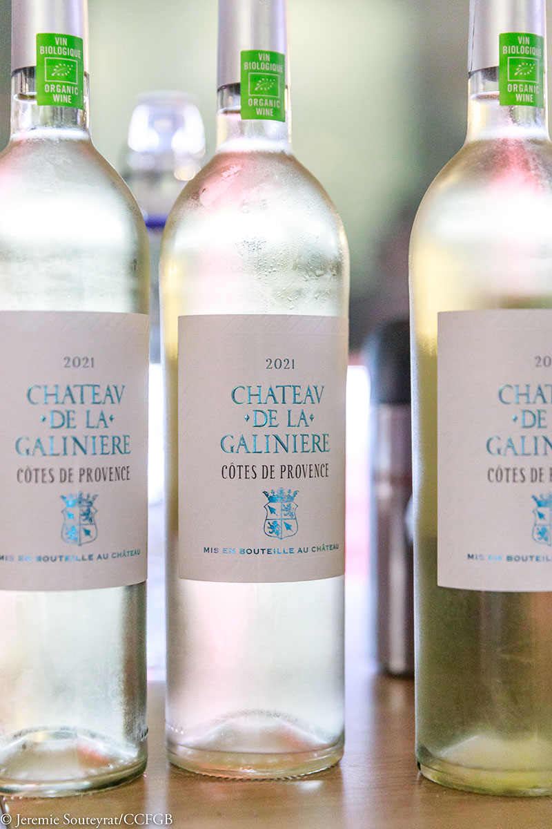 Cocktail-de-la-Rentrée-2022-the-French-Chamber