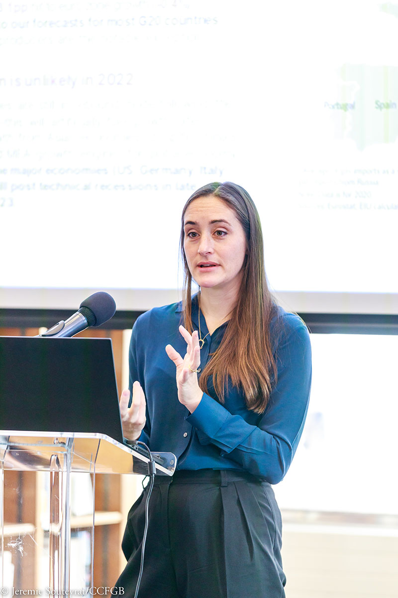 Economic-Update-Outlook-for-2023-the-French-Chamber