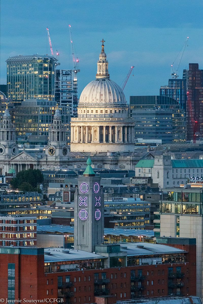 Net-Zero-Leadership-Programme-launch-Business-Carbon-Neutrality-and-Purpose-the-French-Chamber