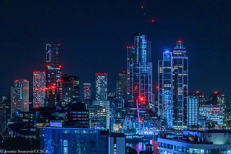 Net-Zero-Leadership-Programme-launch-Business-Carbon-Neutrality-and-Purpose-the-French-Chamber