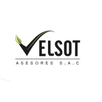 ASESORES VELSOT SAC