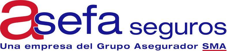 ASEFA SEGUROS