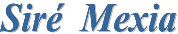 SIRE MEXIA AUDITORES Y CONSULTORES, S.L.P.