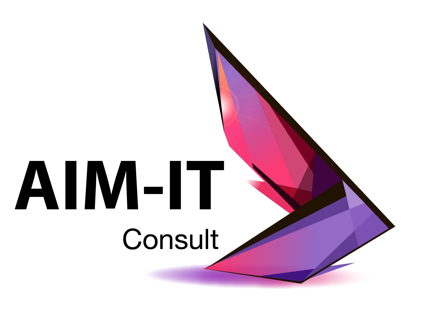 AIM-IT CONSULT