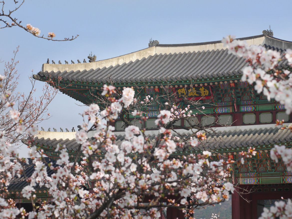 [Translate to Coréen:] 