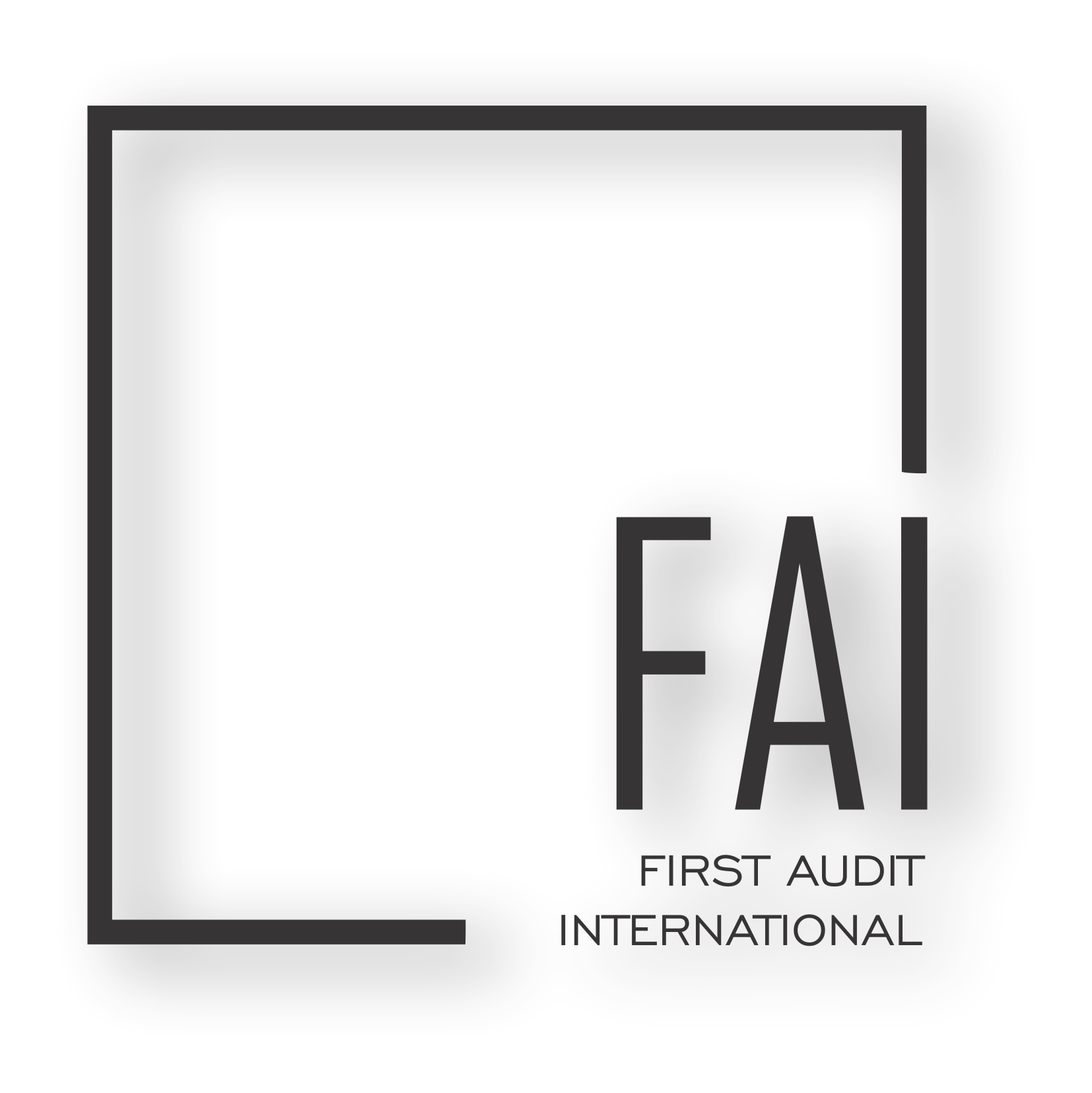 FIRST AUDIT INTERNATIONAL