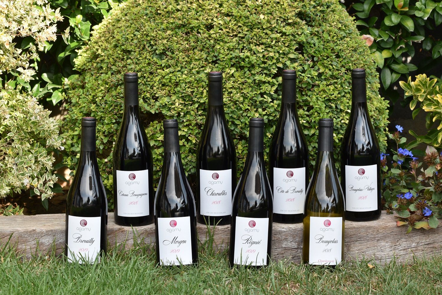 [Translate to Coréen:] Agamy wins gold medal in the Berlin Wine Trophy and will participate in Asia Wine Trophy