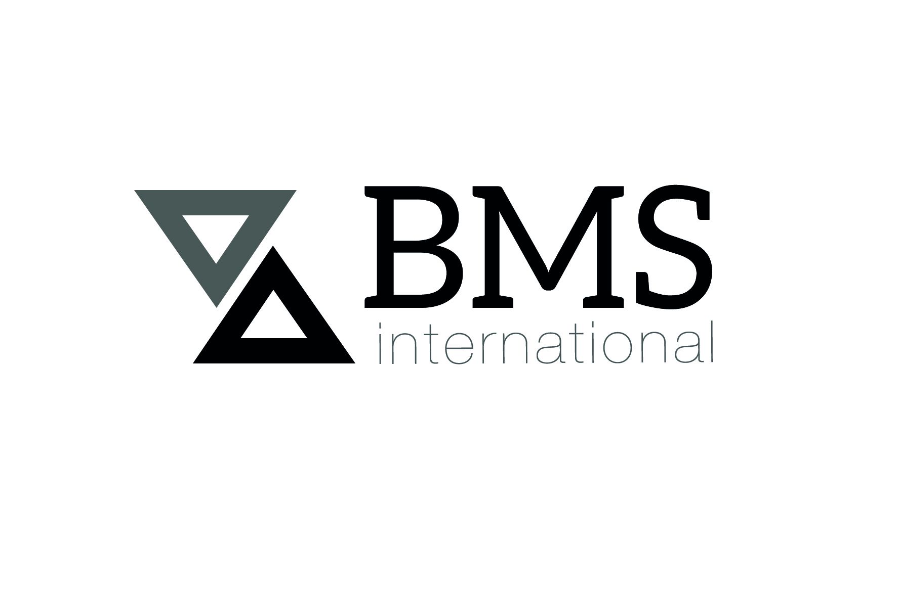 BMS INTERNATIONAL