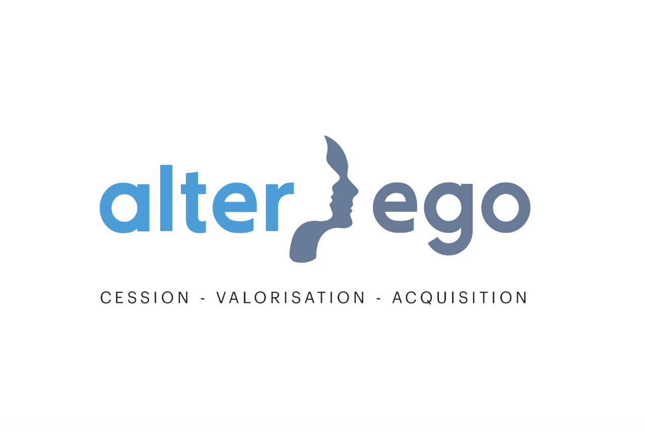 ERWIN & CO BUSINESS AID LTD - ALTER EGO