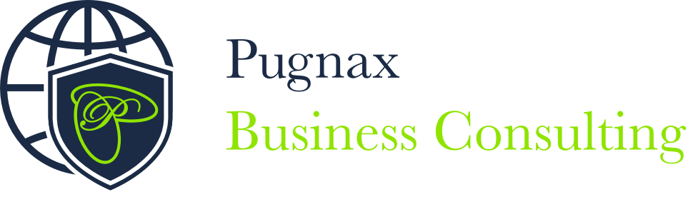 PUGNAX BUSINESS CONSULTING.