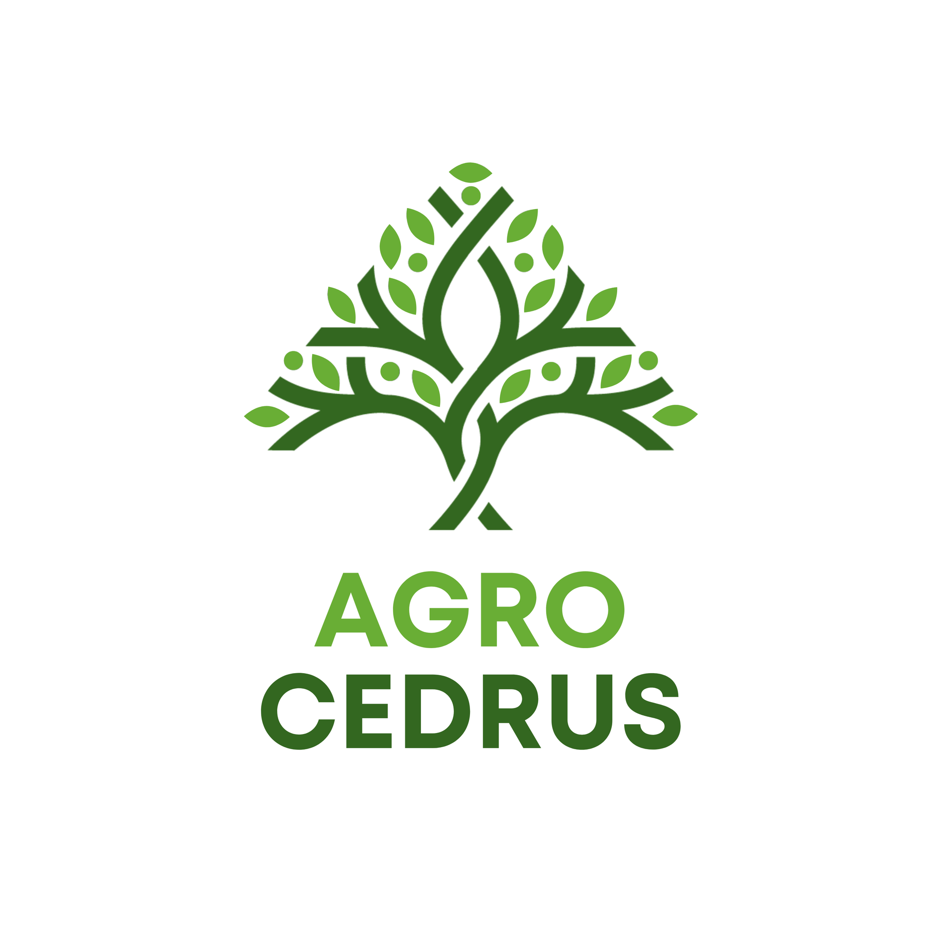 AGRO CEDRUS SARL