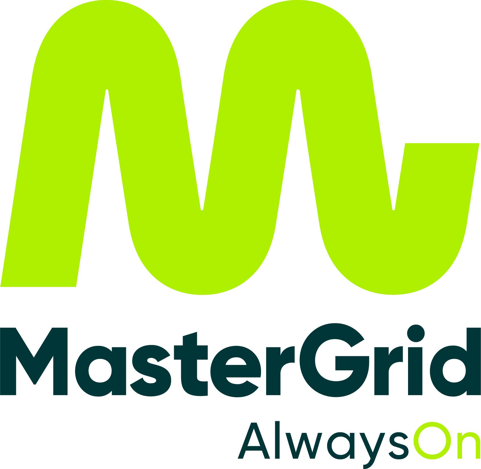 MASTER GRID LLC
