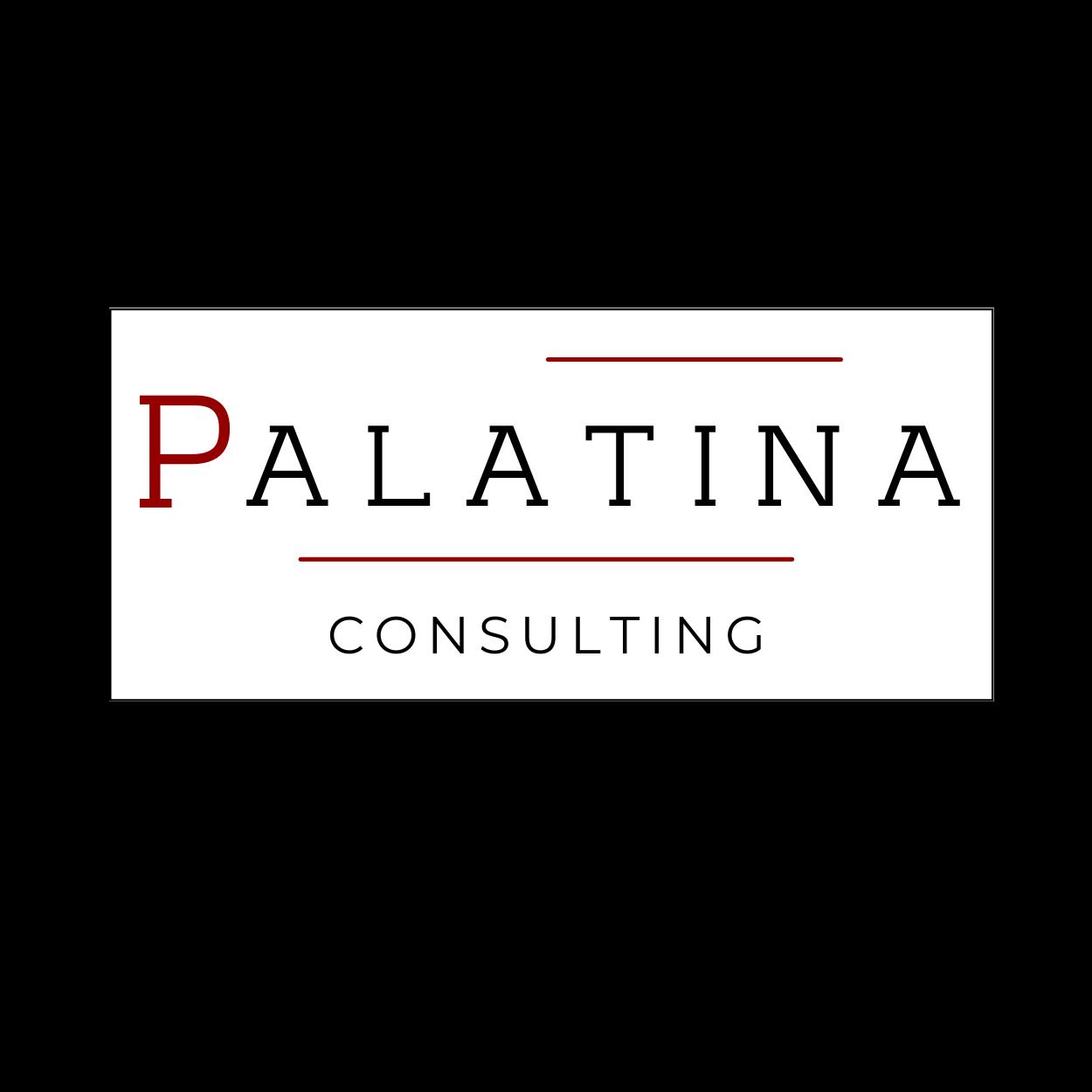 PALATINA CONSULTING