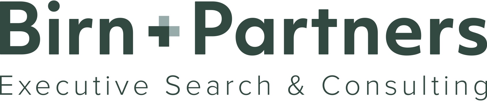 BIRN+PARTNERS ITALY SRL