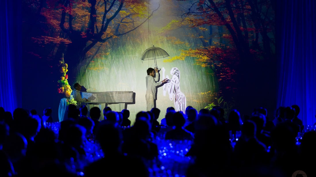 Spectacle de Magic Fusion