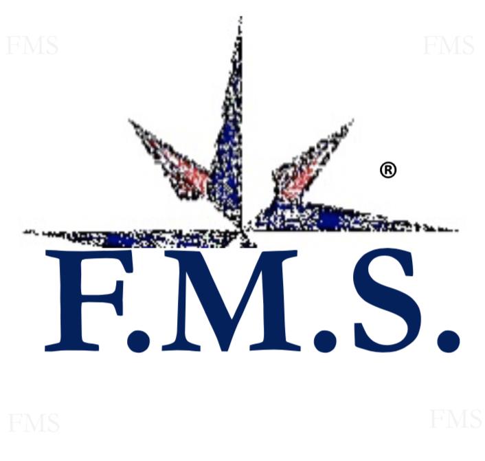 F.M.S. CONSULTING SRL