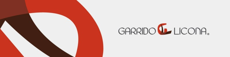 GARRIDO LICONA Y ASOCIADOS