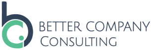 BETTER COMPANY CONSULTING LTDA