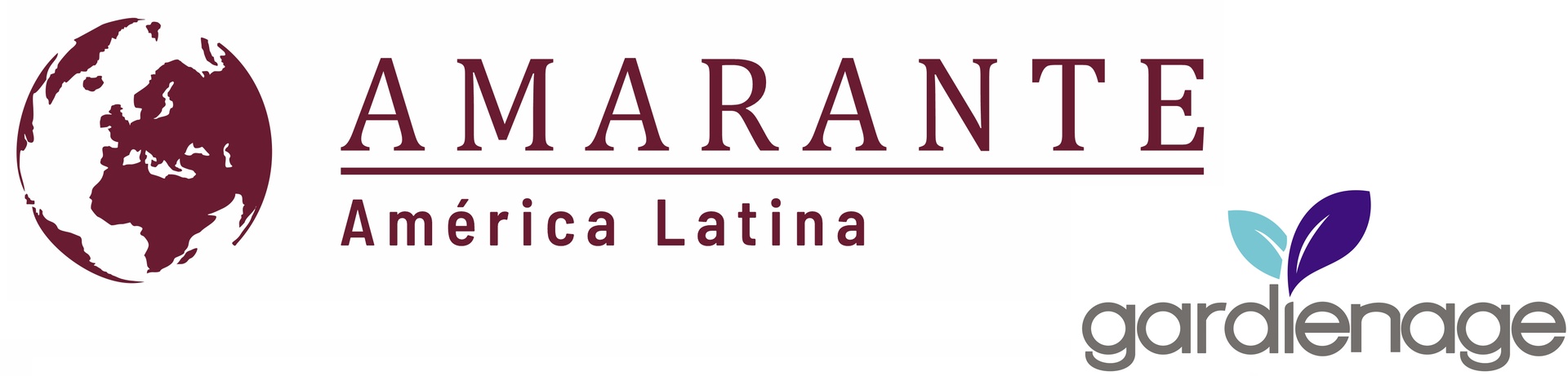 AMARANTE INTERNATIONAL