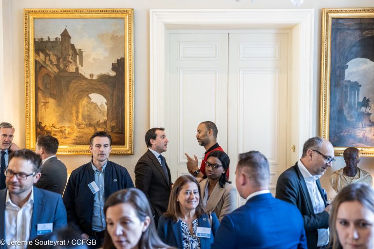 Ambassadors-Brief-French-Chamber-of-Great-Britain