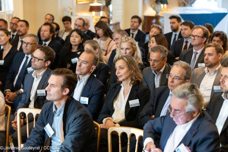 Ambassadors-Brief-French-Chamber-of-Great-Britain