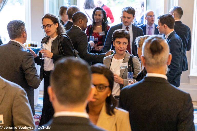 Ambassadors-Brief-French-Chamber-of-Great-Britain