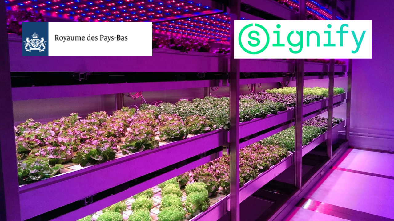 [Translate to Néerlandais:] 