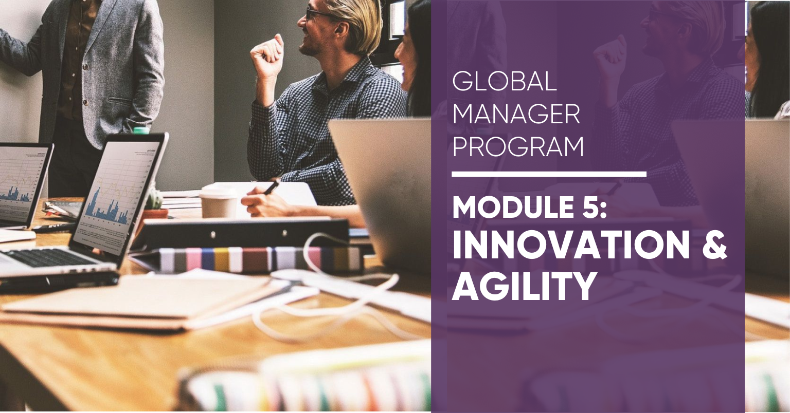 Module 5 Global Manager Program: Innovation & Agility Module 5 Global Manager Program: Innovation & Agility