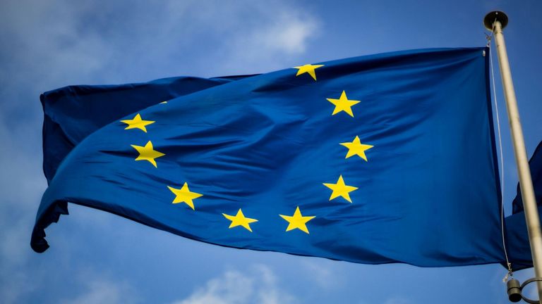 checkin-call-eu-delegation