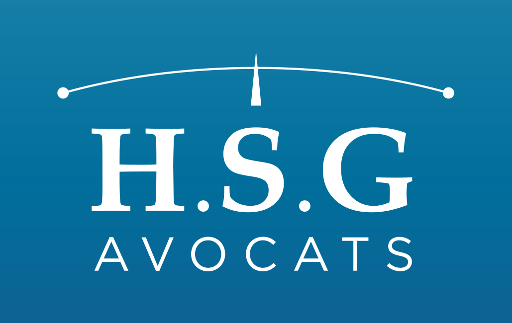 hsg_logo_poziom
